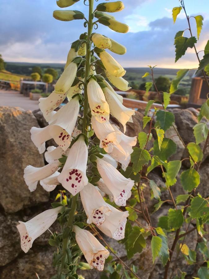 Howgill Farm Bolton Abbey Appletreewick Esterno foto